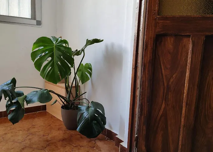 Agui House * فالنسيا